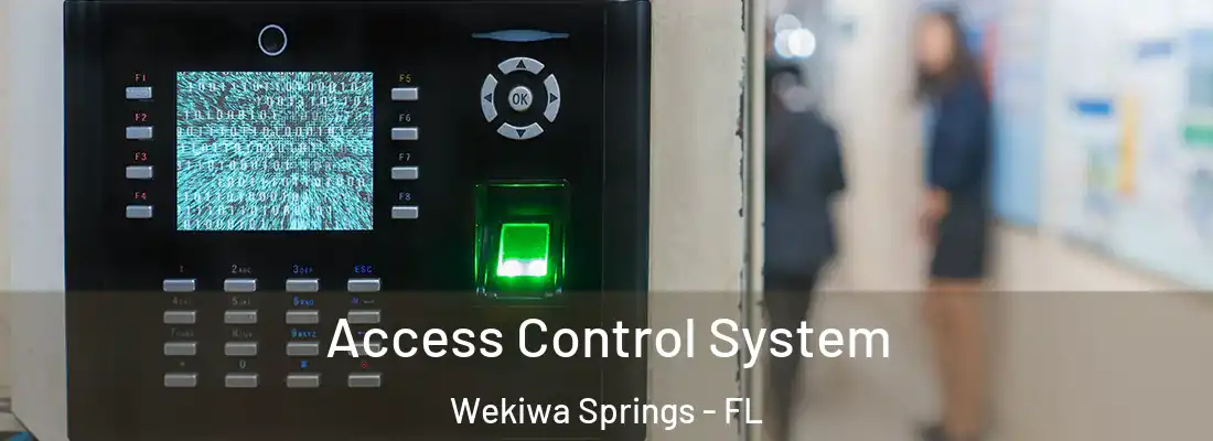 Access Control System Wekiwa Springs - FL