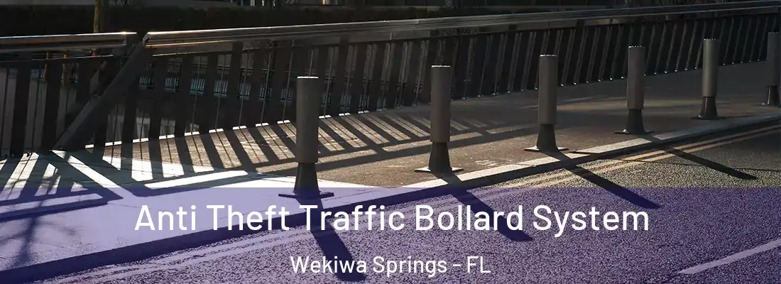 Anti Theft Traffic Bollard System Wekiwa Springs - FL