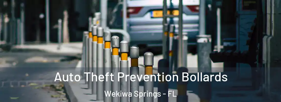 Auto Theft Prevention Bollards Wekiwa Springs - FL