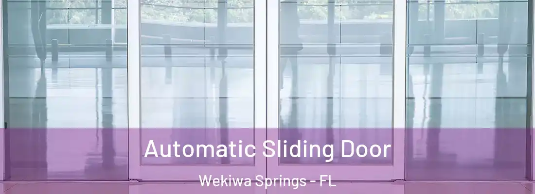  Automatic Sliding Door Wekiwa Springs - FL