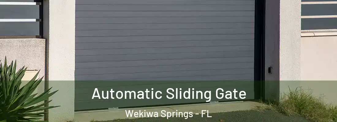 Automatic Sliding Gate Wekiwa Springs - FL