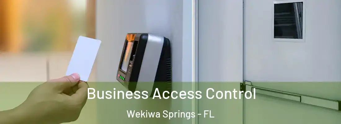  Business Access Control Wekiwa Springs - FL
