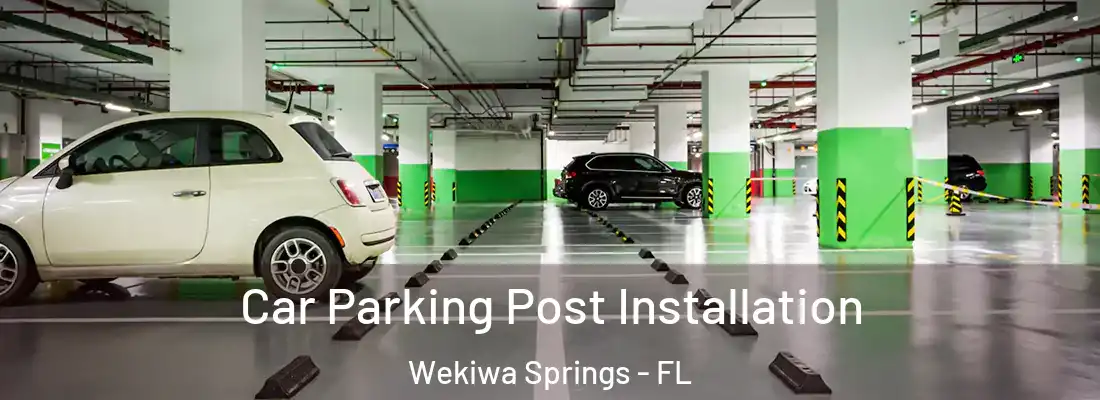 Car Parking Post Installation Wekiwa Springs - FL