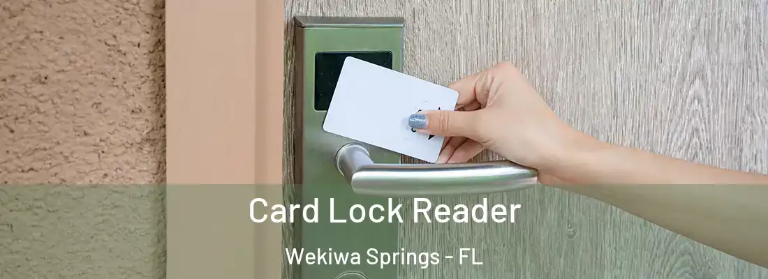 Card Lock Reader Wekiwa Springs - FL