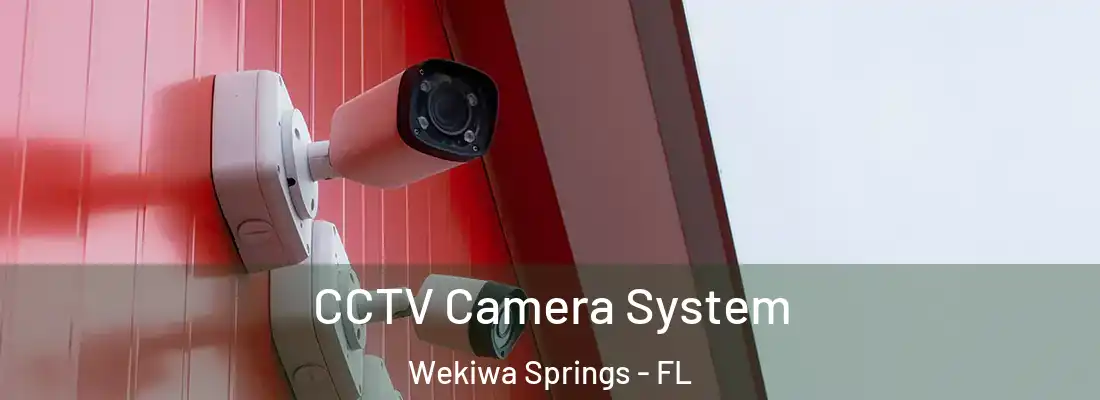  CCTV Camera System Wekiwa Springs - FL