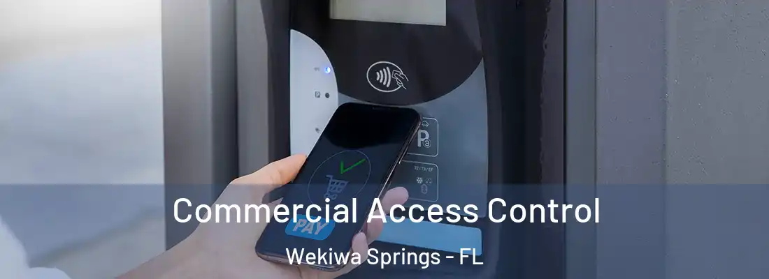  Commercial Access Control Wekiwa Springs - FL