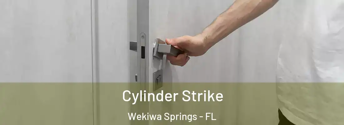 Cylinder Strike Wekiwa Springs - FL