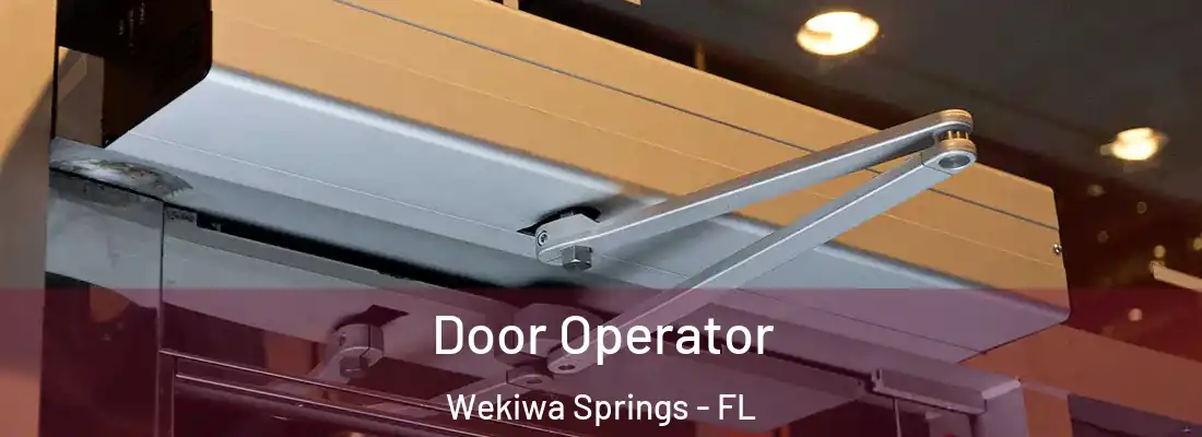 Door Operator Wekiwa Springs - FL