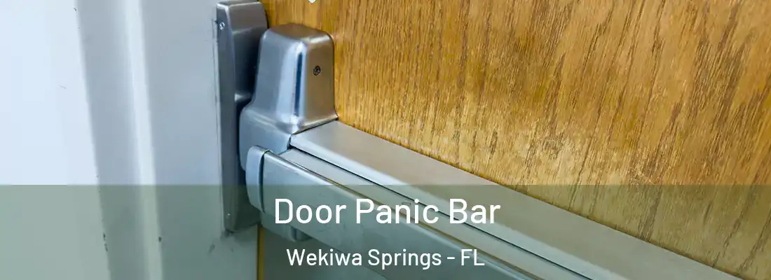 Door Panic Bar Wekiwa Springs - FL