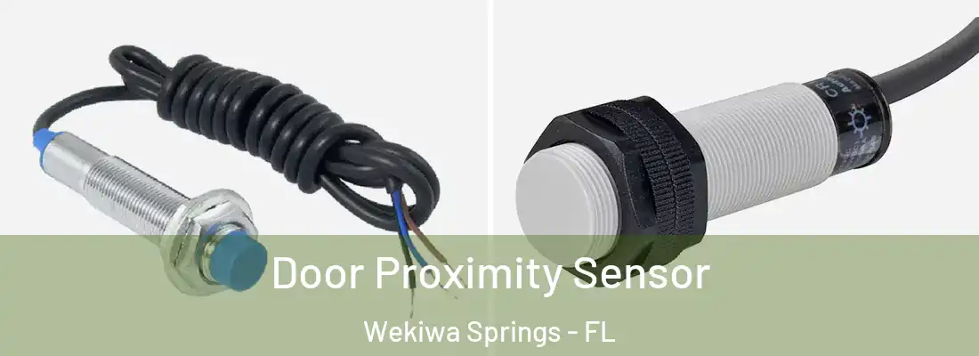 Door Proximity Sensor Wekiwa Springs - FL