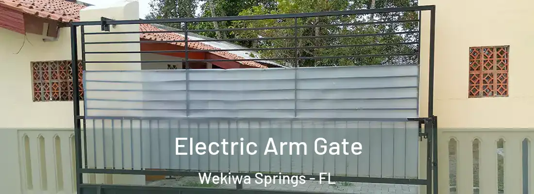 Electric Arm Gate Wekiwa Springs - FL