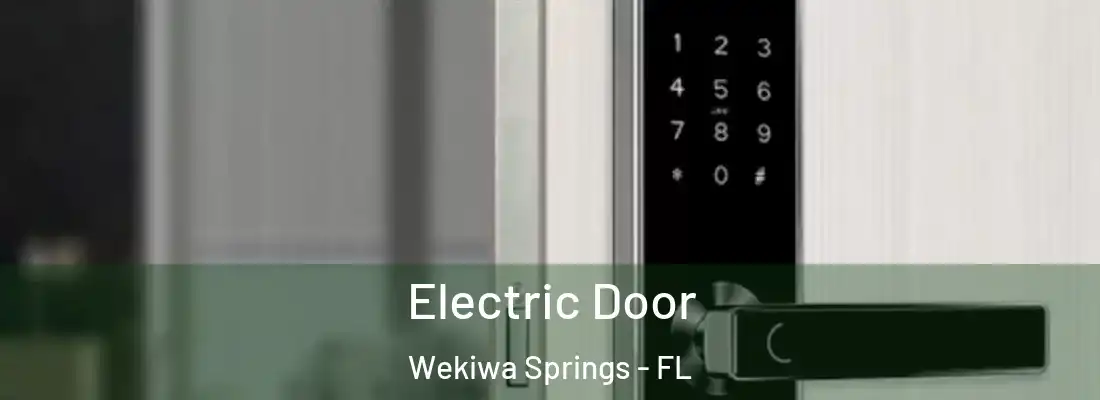 Electric Door Wekiwa Springs - FL
