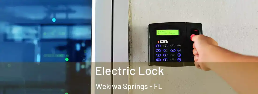 Electric Lock Wekiwa Springs - FL