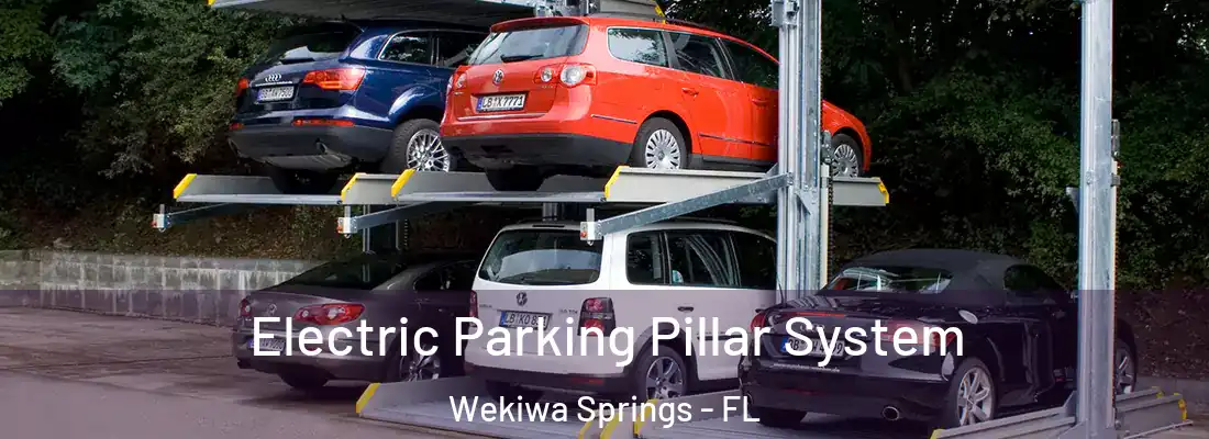 Electric Parking Pillar System Wekiwa Springs - FL