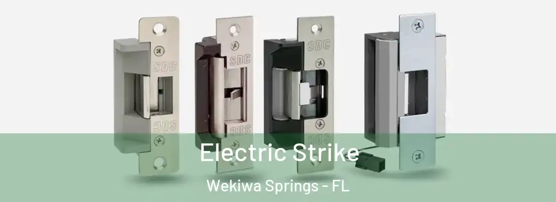 Electric Strike Wekiwa Springs - FL
