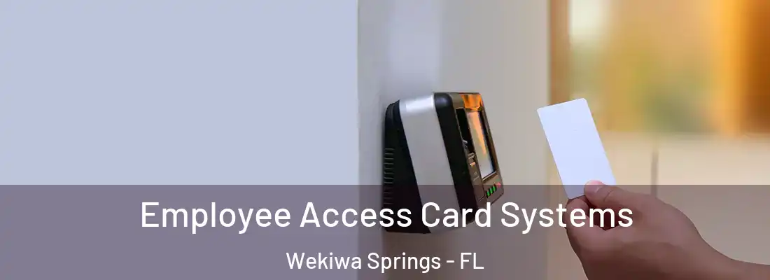 Employee Access Card Systems Wekiwa Springs - FL
