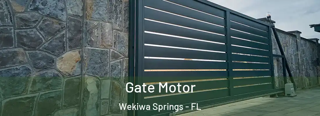 Gate Motor Wekiwa Springs - FL