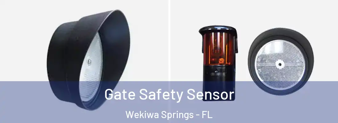 Gate Safety Sensor Wekiwa Springs - FL