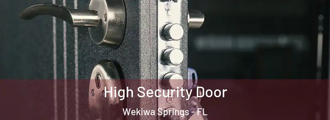 High Security Door Wekiwa Springs - FL