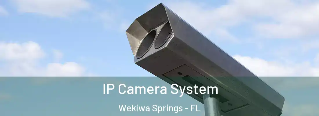 IP Camera System Wekiwa Springs - FL