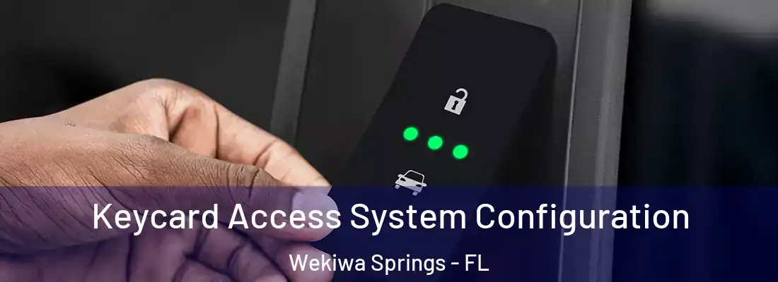 Keycard Access System Configuration Wekiwa Springs - FL