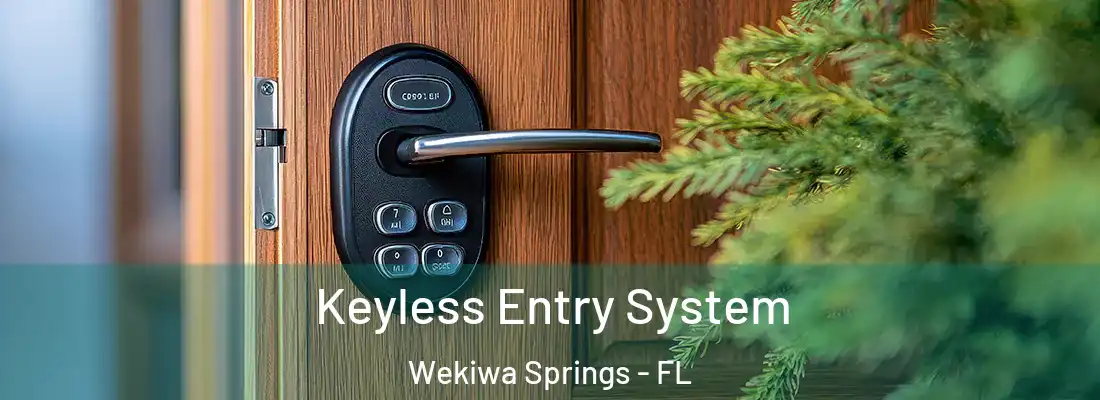  Keyless Entry System Wekiwa Springs - FL
