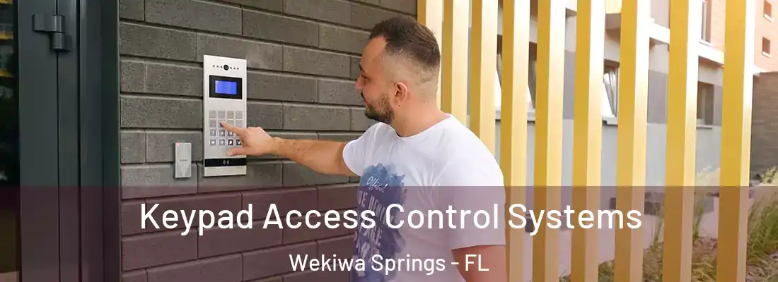 Keypad Access Control Systems Wekiwa Springs - FL
