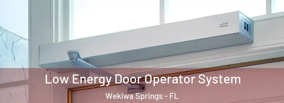  Low Energy Door Operator System Wekiwa Springs - FL