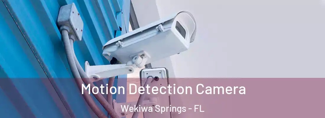 Motion Detection Camera Wekiwa Springs - FL