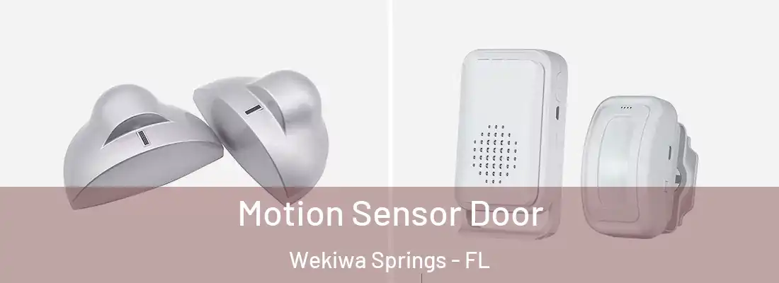 Motion Sensor Door Wekiwa Springs - FL