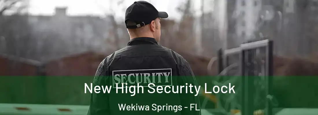 New High Security Lock Wekiwa Springs - FL