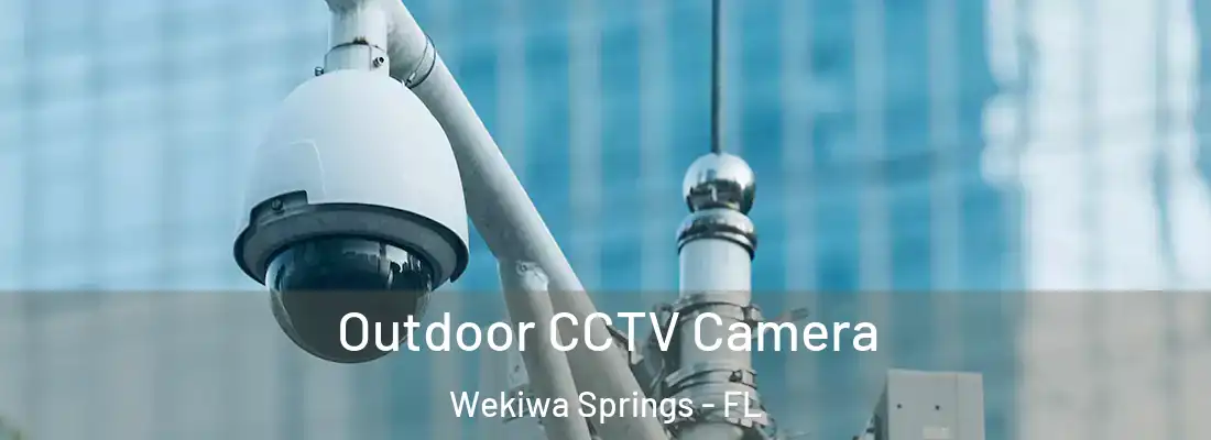Outdoor CCTV Camera Wekiwa Springs - FL