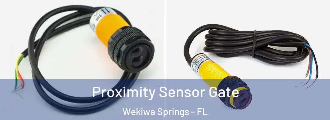 Proximity Sensor Gate Wekiwa Springs - FL
