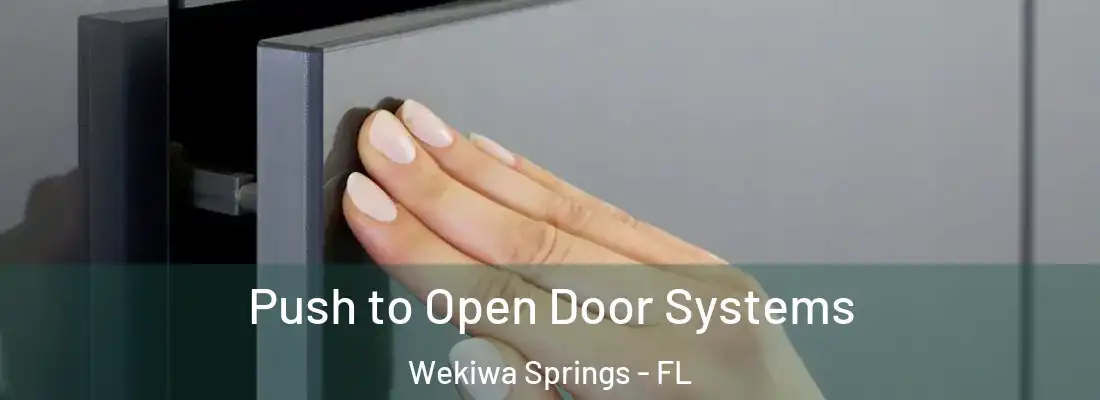 Push to Open Door Systems Wekiwa Springs - FL