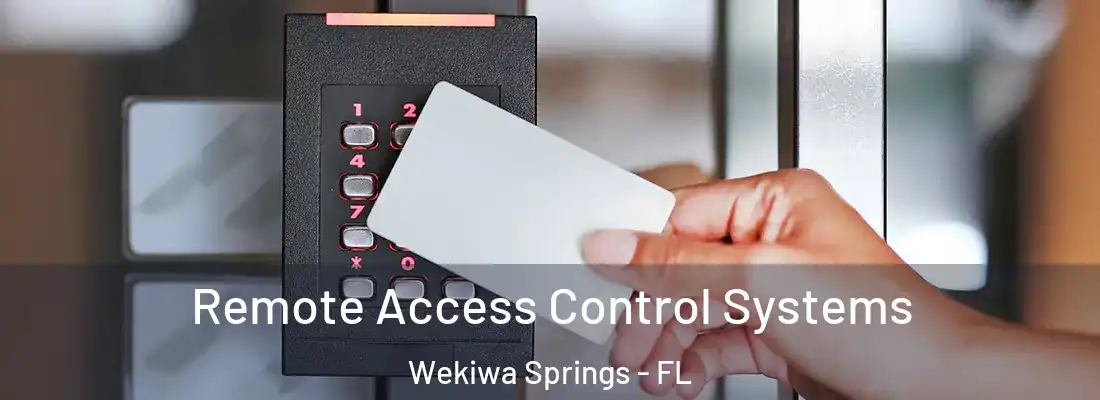 Remote Access Control Systems Wekiwa Springs - FL