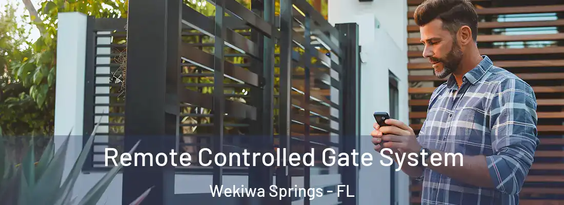 Remote Controlled Gate System Wekiwa Springs - FL
