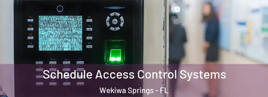 Schedule Access Control Systems Wekiwa Springs - FL