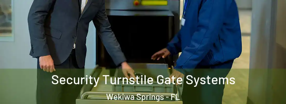 Security Turnstile Gate Systems Wekiwa Springs - FL