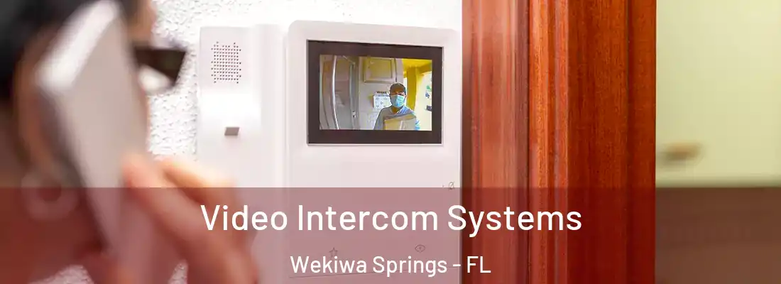 Video Intercom Systems Wekiwa Springs - FL